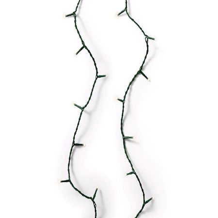 Celebrations Celebrations Gold LED Clear/Warm White 250 ct Christmas Lights 61.35 ft. 9922034